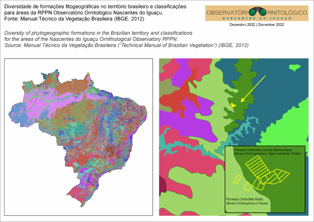 10_Formacao_fitogeografica_IBGE