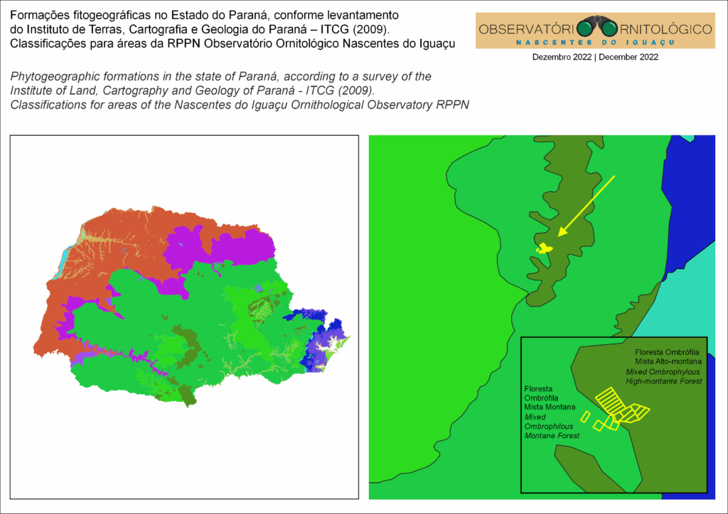 11_Formacao_fitogeografica_ITCG