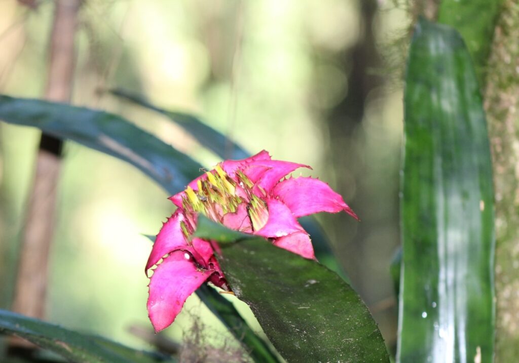 Fotografia: Fábio Mayer