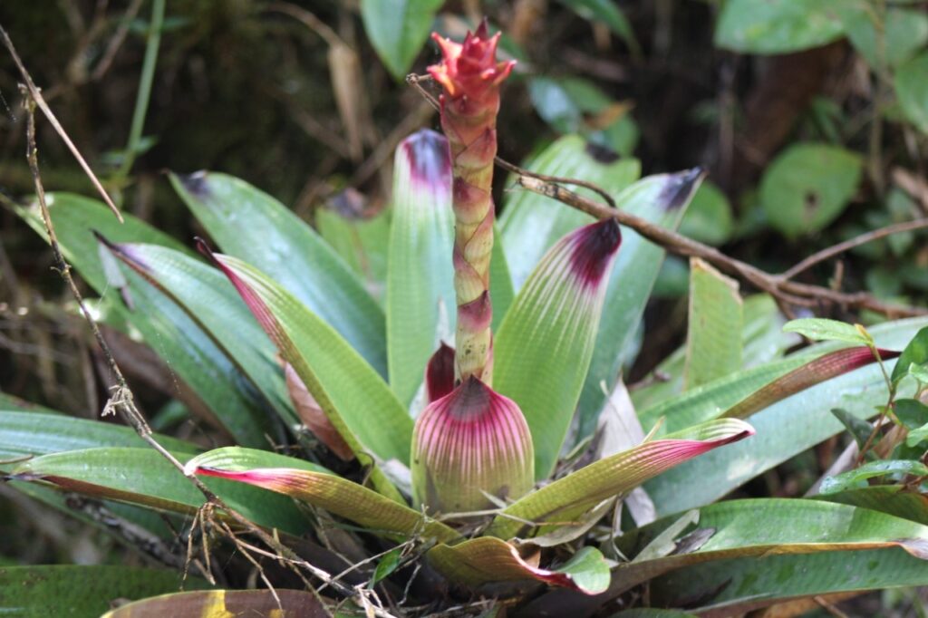 Fotografia: Fábio Mayer