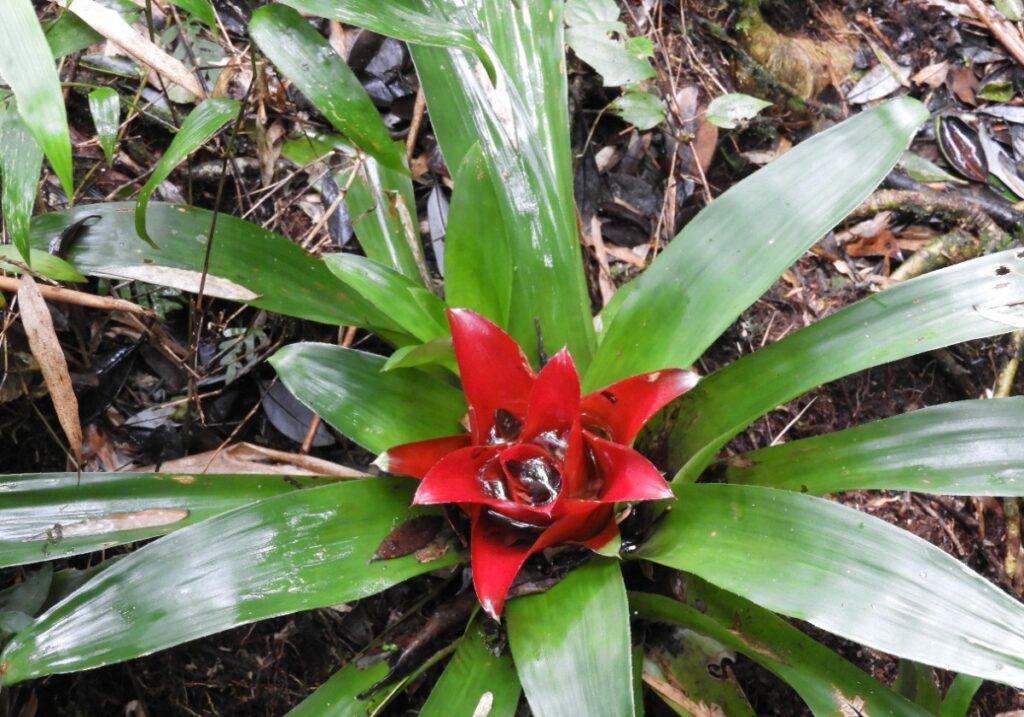 Fotografia: Fábio Mayer