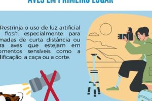 CEMAVE atualiza Código de Ética do Observador de Aves; Observatório adota e recomenda a visitantes