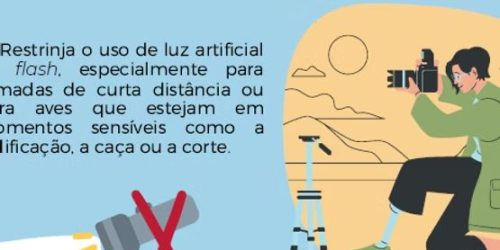 CEMAVE atualiza Código de Ética do Observador de Aves; Observatório adota e recomenda a visitantes