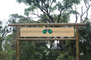 Website apresenta história, estrutura e propósitos do Observatório Ornitológico