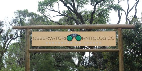 Website apresenta história, estrutura e propósitos do Observatório Ornitológico
