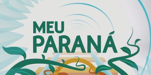 Na TV, programa Meu Paraná mostra aves raras