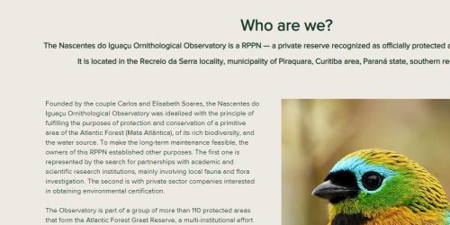 Website do Observatório Ornitológico conta agora com versão em Inglês