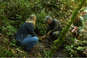 Programa Meu Paraná. Rio Iguaçu: conheça o rio que corta o estado do Paraná