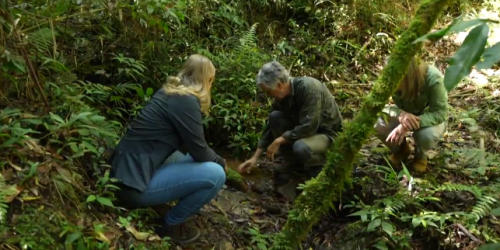 Programa Meu Paraná. Rio Iguaçu: conheça o rio que corta o estado do Paraná