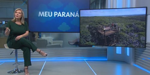 Observatório Ornitológico celebra Dia da Árvore com participação no programa de TV “Meu Paraná”