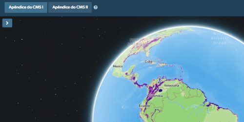 Atlas com rotas de migração de aves nas Américas é lançado em reunião da Convenção sobre Espécies Migratórias