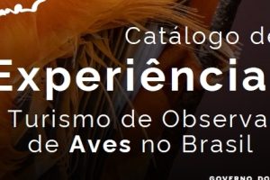 Observatório Ornitológico é uma das experiências do Turismo de Observação de Aves no Brasil, divulgadas em publicação do Ministério do Turismo