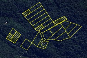 RPPN Observatório Ornitológico Nascentes do Iguaçu é ampliada