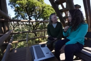 Observatório Ornitológico é tema do programa Plug