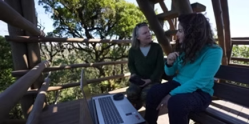 Observatório Ornitológico é tema do programa Plug